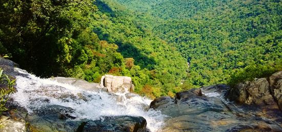 bach ma national park tour