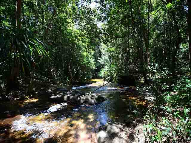 phu quoc national park - Phu Quoc Highlights & Travel Guide