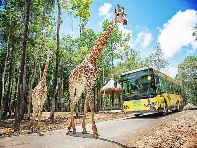 phu quoc safari - Phu Quoc Highlights & Travel Guide