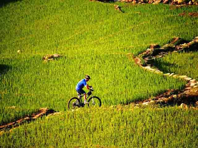 ride a bike to muong hoa valley - Sapa Highlights & Travel Guide