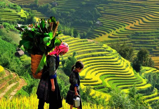 Vietnam Package Tour 14 Days