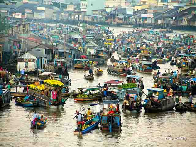 mekong delta private tour